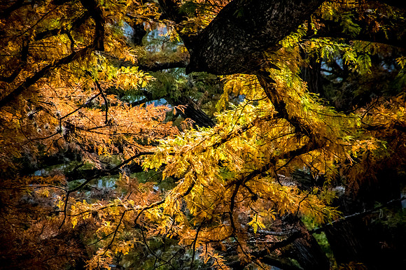 Colors of Cyprus
