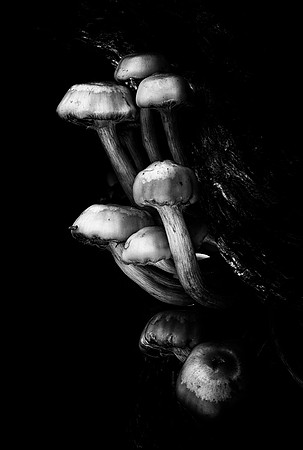 Hanging On