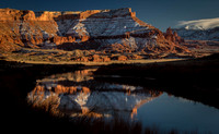 Colorado River Reflections