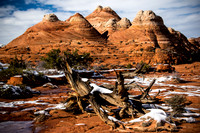 Winter North Coyote Buttes