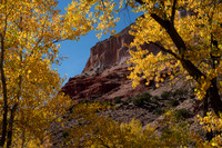 Jemez Valley