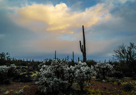 Clouds in the Desert