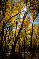 Jemez River Color