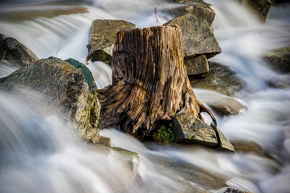 A Stump