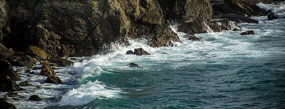 The Pacific Shore
