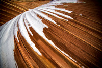 The Winter Wave