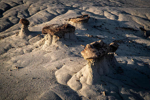 Little White Orange Capped Hoodoos