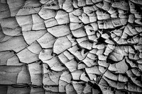 Dried Mud