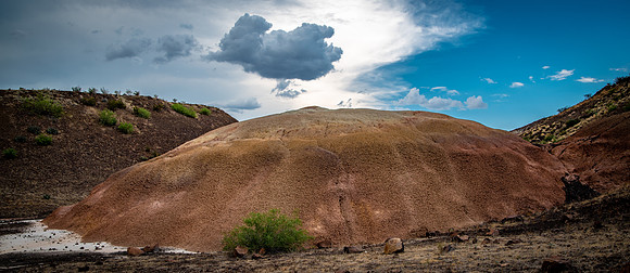 Mud Stone