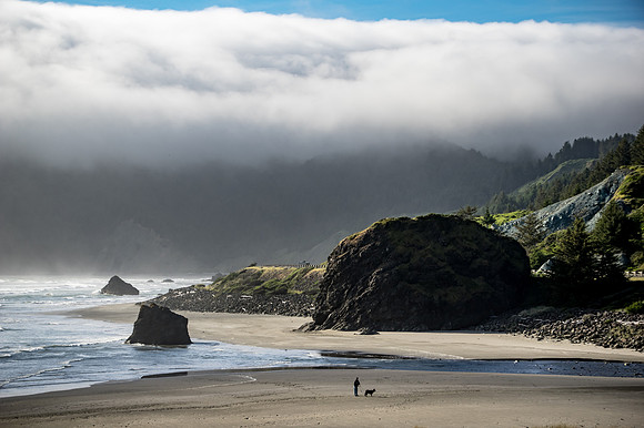 Fog Moving In