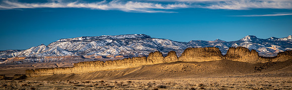 Golden Hogback