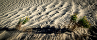 Killpecker Dunes 5