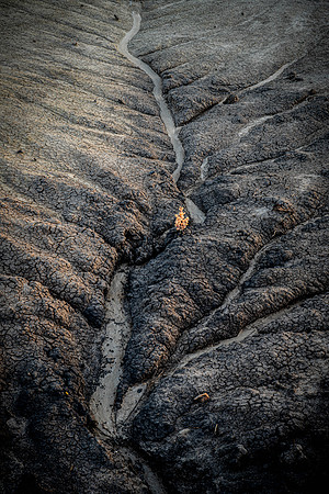 Shape of Erosion in Color