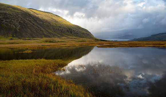 Icelandic Reflections