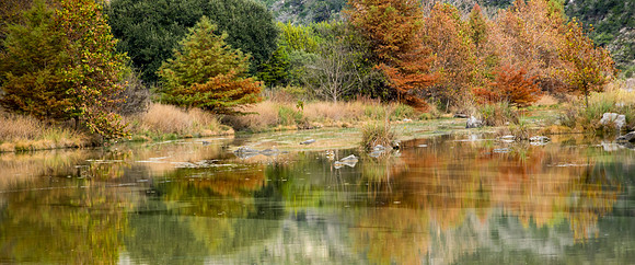 Fall Color Reflections