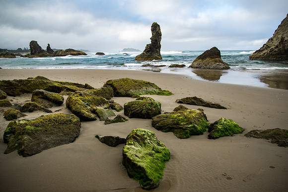 Low Tide